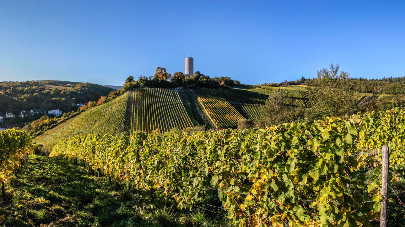 Beitrag_Kiedricher-Weinberge_Mueringer