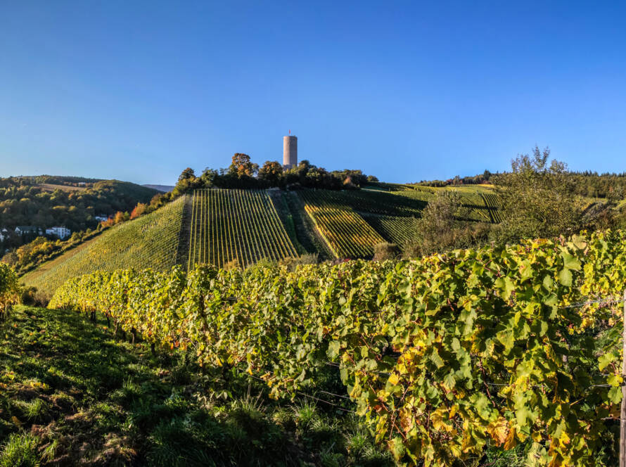 Beitrag kiedricher weinberge mueringer