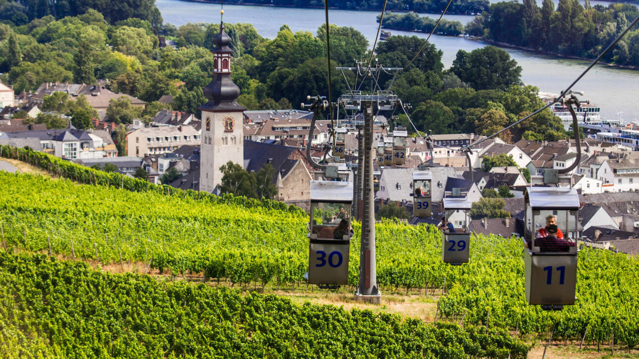 Beitrag_Seilbahn-Rüdesheim-(c)-Rüdesheim-Tourist-AG---Moritz-Kertzscher-lpr
