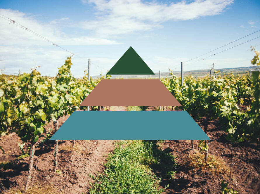 philosophi_beitrag_weinpyramide_02