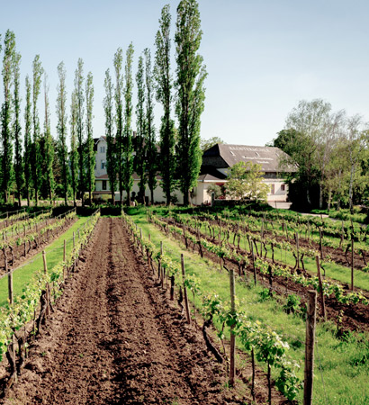 weingut_mood_text_03