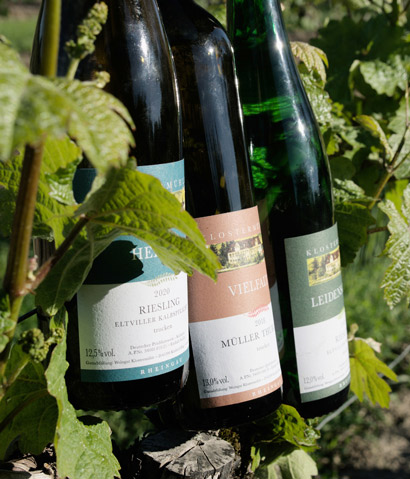 weinwissen_mood_01